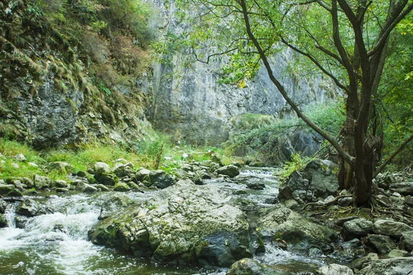 Kalla floden i bergen i Transsylvanien — Stockfoto