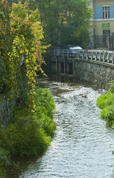 Rivière ruisseau le jour d'automne, Cluj-Napoca — Photo