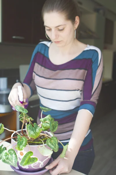 Chica atractiva regando una planta en maceta — Foto de Stock