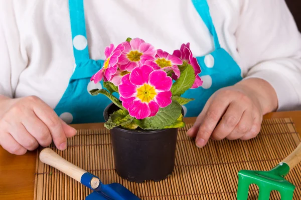 Donna di mezza età prendersi cura di fiore — Foto Stock