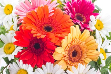 gerbera ve papatya çiçekler buket