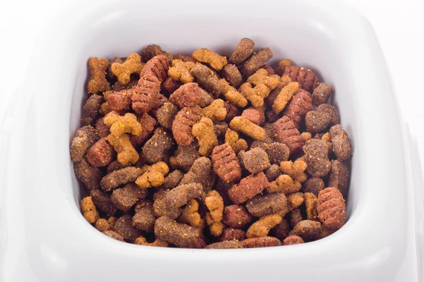 Alimentos secos para animais de estimação em uma tigela de plástico — Fotografia de Stock