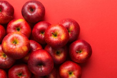 Renkli arka planda bir sürü kırmızı elma, üst manzara. Tasarım veya metin için kopyalama alanı olan taze elma görünümlü sonbahar deseni.