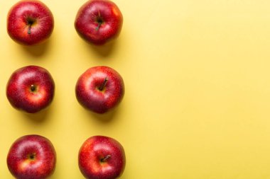 Renkli arka planda bir sürü kırmızı elma, üst manzara. Tasarım veya metin için kopyalama alanı olan taze elma görünümlü sonbahar deseni.