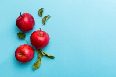 Renkli arka planda bir sürü kırmızı elma, üst manzara. Tasarım veya metin için kopyalama alanı olan taze elma görünümlü sonbahar deseni.