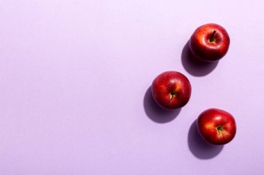 Renkli arka planda bir sürü kırmızı elma, üst manzara. Tasarım veya metin için kopyalama alanı olan taze elma görünümlü sonbahar deseni.