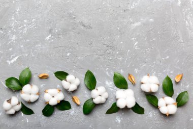 Autumn Floral Flat arka plan kompozisyonu oluşturdu. Kurumuş beyaz pamuklu çiçek dalı ve yeşil yapraklı üst görünümü kopya alanı olan renkli masa üzerinde..