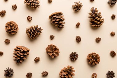 Çam kozalakları renkli masada. Çam kozalakları bir araya toplanmış doğal tatil geçmişi. Düz yatıyordu. Kış konsepti.