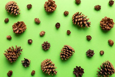 Çam kozalakları renkli masada. Çam kozalakları bir araya toplanmış doğal tatil geçmişi. Düz yatıyordu. Kış konsepti.