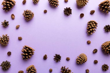 Renkli arka planda minimum yaratıcı koni çerçeve düzenleme şablonu. Düz yatış, üst manzara. Kopya alanı olan noel arkaplanı.