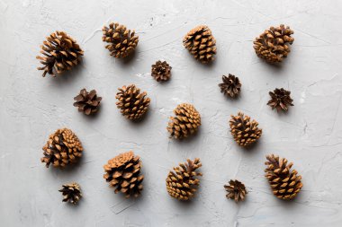 Çam kozalakları renkli masada. Çam kozalakları bir araya toplanmış doğal tatil geçmişi. Düz yatıyordu. Kış konsepti.