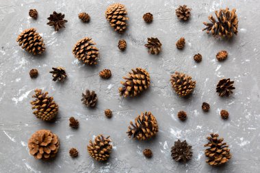 Çam kozalakları renkli masada. Çam kozalakları bir araya toplanmış doğal tatil geçmişi. Düz yatıyordu. Kış konsepti.