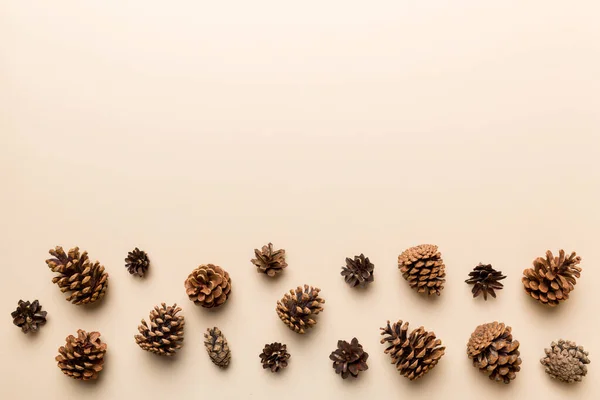 Christmas Pine Cones Colored Paper Border Composition Christmas New Year — Stock Photo, Image