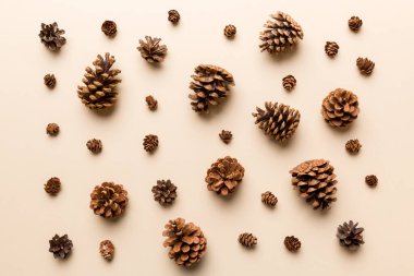 Çam kozalakları renkli masada. Çam kozalakları bir araya toplanmış doğal tatil geçmişi. Düz yatıyordu. Kış konsepti.