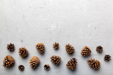 Renkli kağıt kenarlık kompozisyonu üzerinde noel kozalakları. Noel, yeni yıl, kış konsepti. Düz konum, üst görünüm, kopyalama alanı.