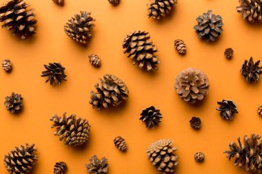 Çam kozalakları renkli masada. Çam kozalakları bir araya toplanmış doğal tatil geçmişi. Düz yatıyordu. Kış konsepti.