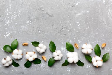 Autumn Floral Flat arka plan kompozisyonu oluşturdu. Kurumuş beyaz pamuklu çiçek dalı ve yeşil yapraklı üst görünümü kopya alanı olan renkli masa üzerinde..