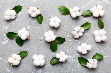 Autumn Floral Flat arka plan kompozisyonu oluşturdu. Kurumuş beyaz pamuklu çiçek dalı ve yeşil yapraklı üst görünümü kopya alanı olan renkli masa üzerinde..