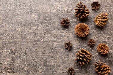 Renkli kağıt kenarlık kompozisyonu üzerinde noel kozalakları. Noel, yeni yıl, kış konsepti. Düz konum, üst görünüm, kopyalama alanı.