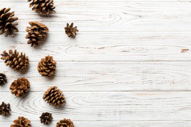 Renkli kağıt kenarlık kompozisyonu üzerinde noel kozalakları. Noel, yeni yıl, kış konsepti. Düz konum, üst görünüm, kopyalama alanı.