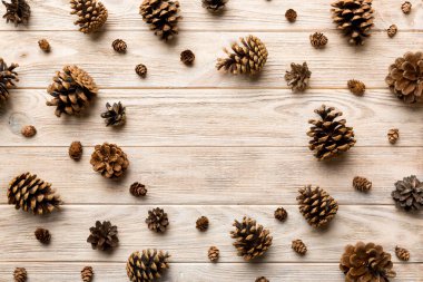 Renkli arka planda minimum yaratıcı koni çerçeve düzenleme şablonu. Düz yatış, üst manzara. Kopya alanı olan noel arkaplanı.