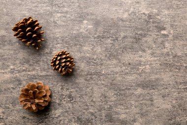 Renkli kağıt kenarlık kompozisyonu üzerinde noel kozalakları. Noel, yeni yıl, kış konsepti. Düz konum, üst görünüm, kopyalama alanı.