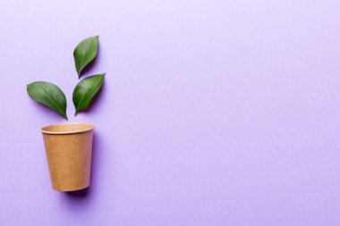 Yeşil yapraklı sıfır atık bardak, çevre dostu, tek kullanımlık, karton, çevre dostu kahve fincanı. Kopyalama alanı ile en üstte görünüm.