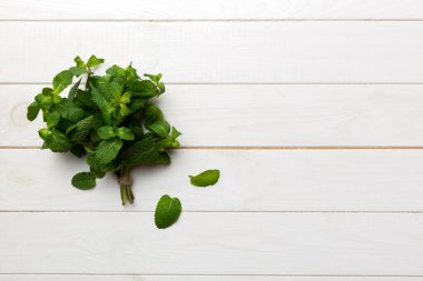 Nane yaprağı. Renkli arka planda taze nane. Darphane izole edilmiş Üst görünümü kopyalama alanı ile bırakır.