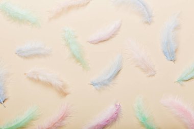 Parlak renkli tüylerin arka planına yaklaş. Renkli tüy arkaplanı, üst görünüm.