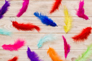 Parlak renkli tüylerin arka planına yaklaş. Renkli tüy arkaplanı, üst görünüm.