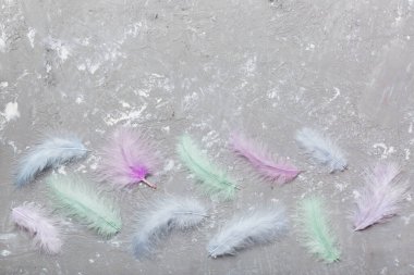 Renkli arka planda parlak renkli kuş tüylerinin arka planı, üst görünüm. Boşluğu kopyala.