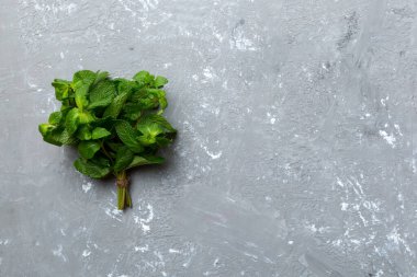 Nane yaprağı. Renkli arka planda taze nane. Darphane izole edilmiş Üst görünümü kopyalama alanı ile bırakır.