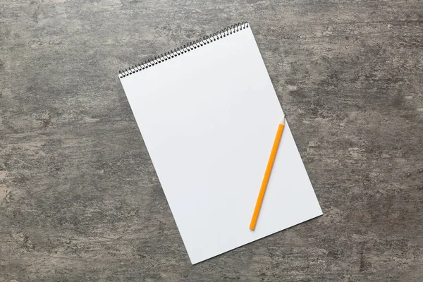 Carnet Vierge Avec Stylo Sur Fond Blanc Retour École Concept — Photo