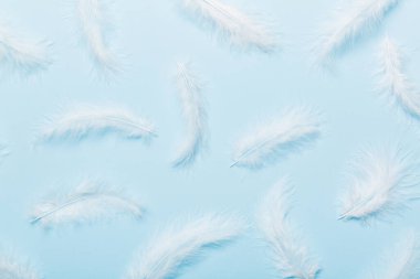 Parlak renkli tüylerin arka planına yaklaş. Renkli tüy arkaplanı, üst görünüm.