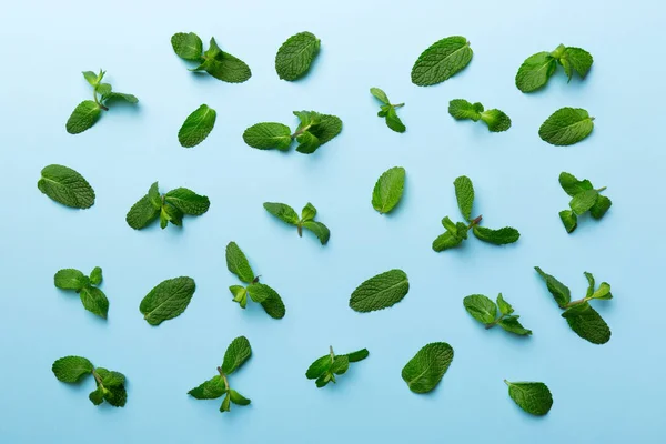 Hojas Menta Verde Fresca Sobre Fondo Blanco Patrón Hojas Menta — Foto de Stock