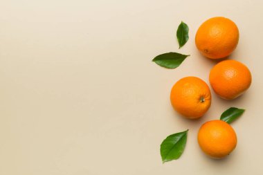 Renkli arka planda taze meyve portakalı dilimleri. Üst Manzara. Uzayı kopyala yaratıcı yaz konsepti. Minimum düzlükte turunçgillerin yarısı kopyalama alanı ile yatar.