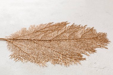 Çimento arka planında yiyecek için yaprak şekilli masa örtüsünün üst görüntüsü. Tasarımın için boş boşluk.