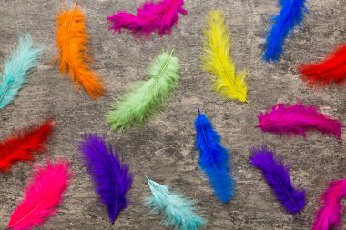 Parlak renkli tüylerin arka planına yaklaş. Renkli tüy arkaplanı, üst görünüm.