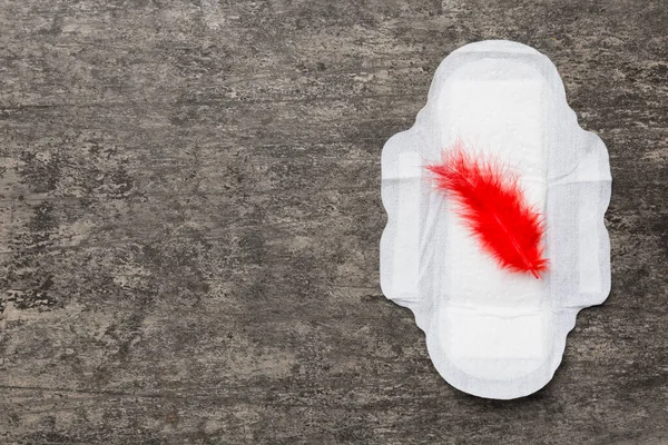 Productos Higiene Para Mujeres Almohadilla Sanitaria Con Plumas Rojas Sobre —  Fotos de Stock