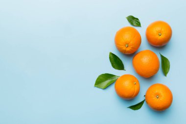 Renkli arka planda taze meyve portakalı dilimleri. Üst Manzara. Uzayı kopyala yaratıcı yaz konsepti. Minimum düzlükte turunçgillerin yarısı kopyalama alanı ile yatar.