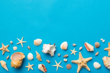 Summer time concept Flat lay composition with beautiful starfish and sea shells on colored table, top view with copy space for text.