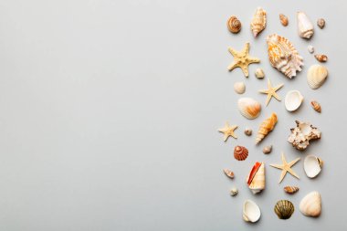 Yaz zamanı konsepti düz kompozisyon ile güzel deniz yıldızları ve deniz kabukları renkli tablo üzerinde yatıyordu, metin için metin alanı ile üst görünüm.