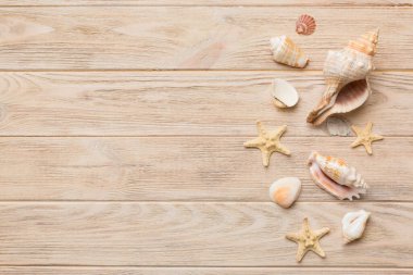Summer time concept Flat lay composition with beautiful starfish and sea shells on colored table, top view with copy space for text.