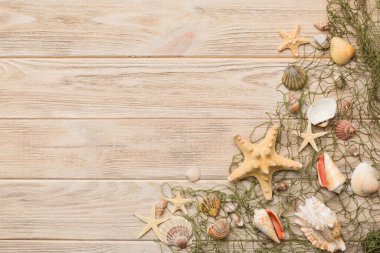 Yaz zamanı konsepti düz kompozisyon ile güzel deniz yıldızları ve deniz kabukları renkli tablo üzerinde yatıyordu, metin için metin alanı ile üst görünüm.