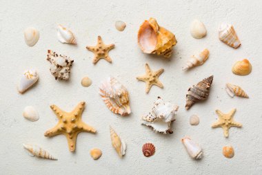 Summer time concept Flat lay composition with beautiful starfish and sea shells on colored table, top view.