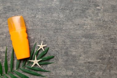 Güneş kremi şişesi. Güneş korumalı krem ve tropik yeşil yapraklı deniz kabukları olan bir şişe..