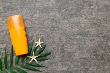 Güneş kremi şişesi. Güneş korumalı krem ve tropik yeşil yapraklı deniz kabukları olan bir şişe..