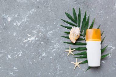 Güneş kremi şişesi. Güneş korumalı krem ve tropik yeşil yapraklı deniz kabukları olan bir şişe..