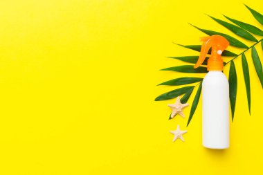Güneş kremi şişesi. Güneş korumalı krem ve tropik yeşil yapraklı deniz kabukları olan bir şişe..
