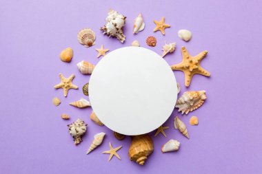Yaz mevsimi konsepti, boş tebrik kartı ve renkli arkaplan üzerine boş beyaz kağıt. Çerçeve şeklinde deniz kabukları metin üstü görünümü için boşluk ile ayrılmış.